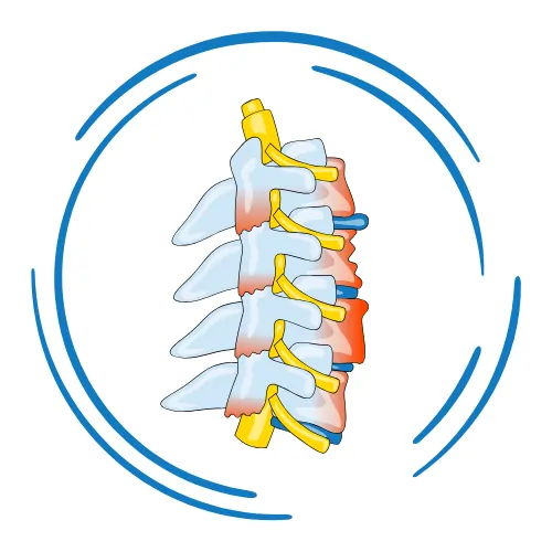 Spine Surgeons